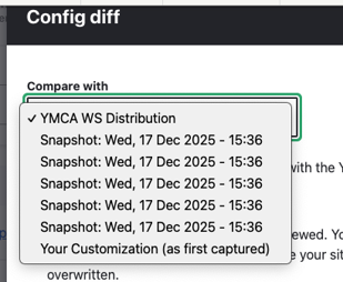 Revisions dropdown showing available snapshots