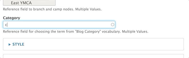 Selecting a category in the blog post admin