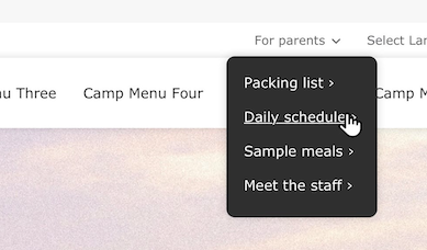 A screenshot of the Camp Quick Links design