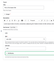 Teaser admin fields