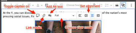 The embedded media options with labels for “Toggle caption on”, “Link media”, “Add alt text”, “Choose view mode”, and “Set alignment”
