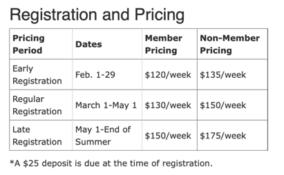 An example table with Registration and Pricing information.