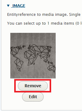 A scereenshot of the Image field with the Remove button highlighted