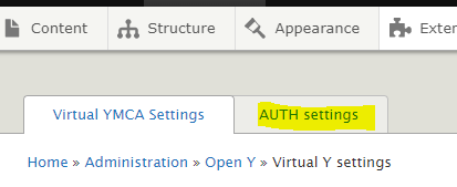 A screenshot of the the Virtual Y settings tabs with &ldquo;AUTH Settings&rdquo; highlighted