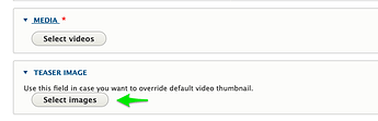A screenshot of the Teaser Image field